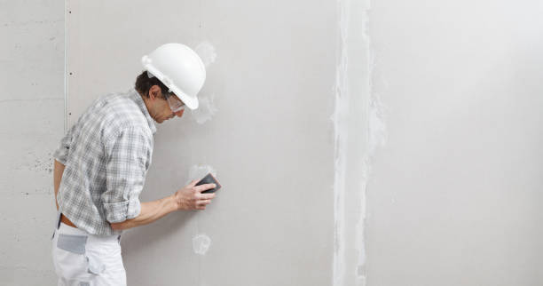 Reliable Palestine, TX Mold Removal Solutions